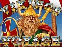 Viking's Voyage