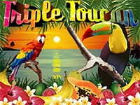 Triple Toucan