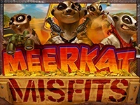 Meerkat Misfits