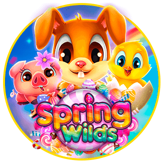 04_EC_SpringWids